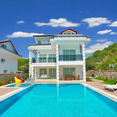 Joe With Private Pool